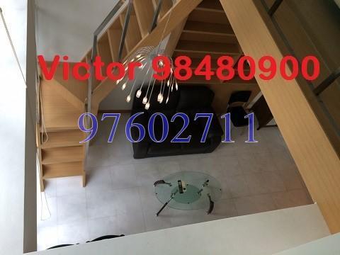 Icon (D2), Apartment #136994672